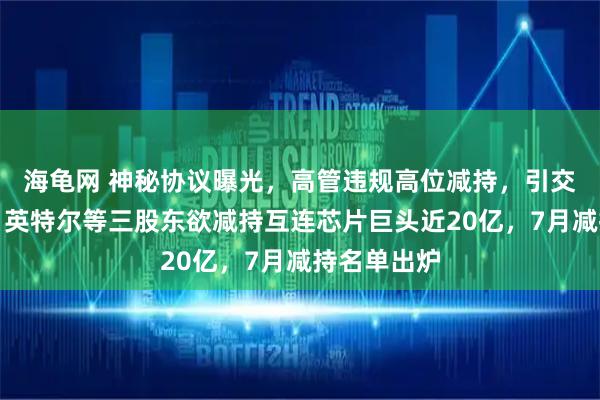 海龟网 神秘协议曝光，高管违规高位减持，引交易所关注！英特尔等三股东欲减持互连芯片巨头近20亿，7月减持名单出炉